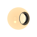 Col_Amber_02-F_Glass1-I_Glass_Caustics2