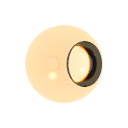 Col_Amber_02-F_Glass1-I_Glass_Dispersion2