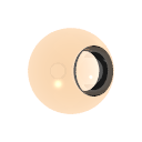Col_Amber_04