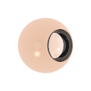 Col_Amber_05