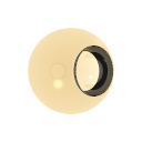 Col_Amber_06-F_Glass1-I_Glass_Dispersion1