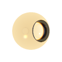 Col_Amber_06-F_Glass1-I_Glass_Dispersion2