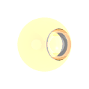 Col_Amber_07-F_Glass2-I_Glass2