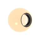 Col_Amber_08