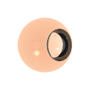Col_Amber_08-F_Glass1-I_Glass_Caustics1