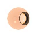 Col_Amber_08-F_Glass1-I_Glass_Dispersion2
