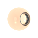 Col_Amber_08-F_Glass4-I_Glass_Dispersion1