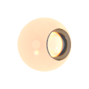 Col_Amber_08-F_Glass4-I_Glass_Dispersion2