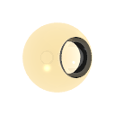 Col_Beerbottle