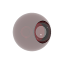 Col_Glass_Ruby-F_Glass5-I_Glass_Caustics2
